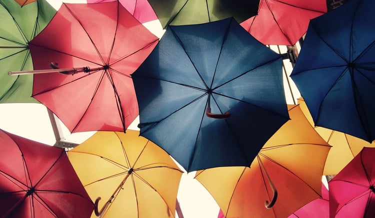Zdjęcie otwartych parasolek