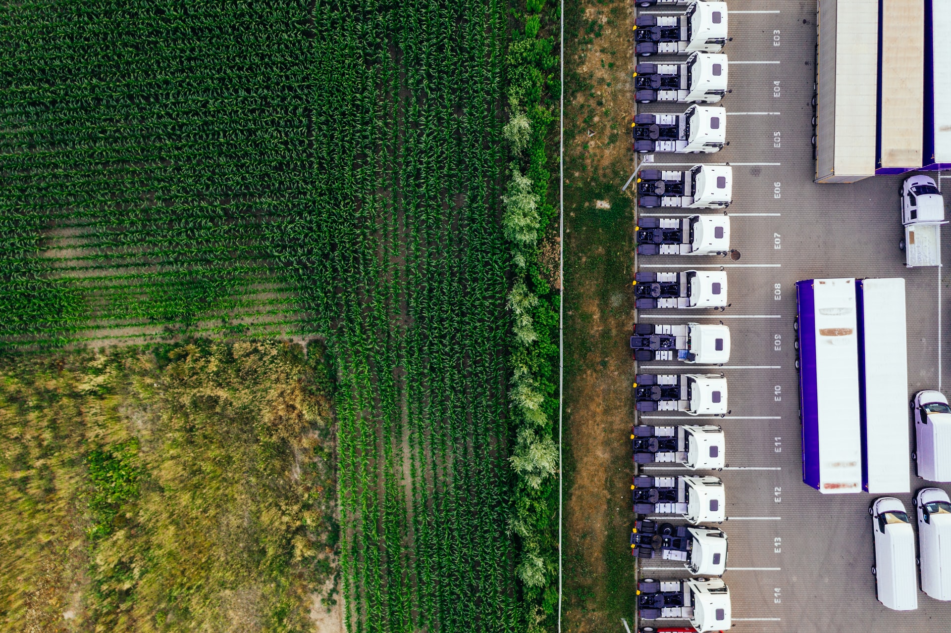 Zdjęcie ciężarówek zaparkowanych obok pola kukurydzy